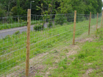 Construction of new forestry fencing - click to enlarge